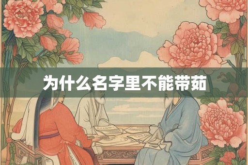 为什么名字里不能带茹