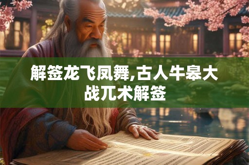 解签龙飞凤舞,古人牛皋大战兀术解签