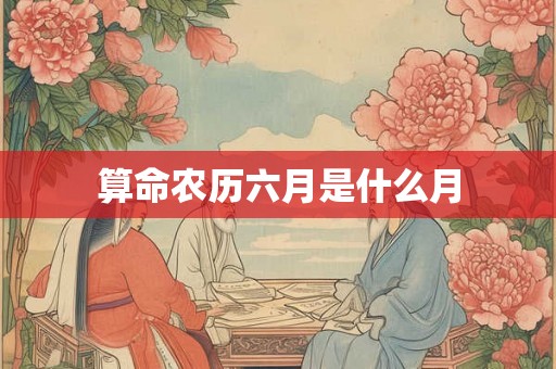 算命农历六月是什么月