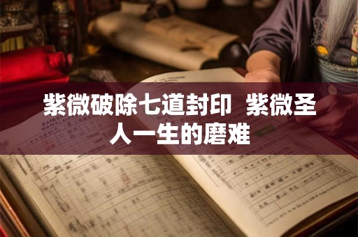 紫微破除七道封印  紫微圣人一生的磨难