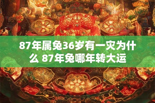 87年属兔36岁有一灾为什么 87年兔哪年转大运