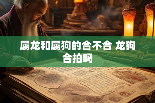 属龙和属狗的合不合 龙狗合拍吗