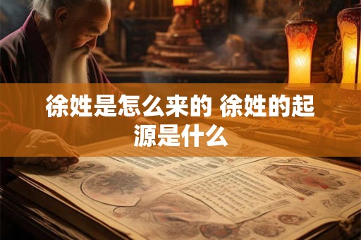 徐姓是怎么来的 徐姓的起源是什么