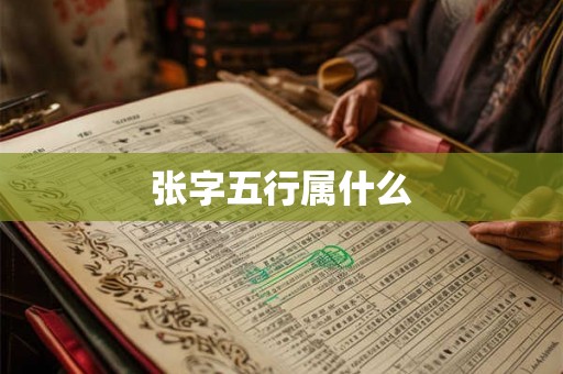 张字五行属什么
