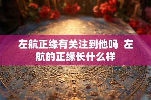 左航正缘有关注到他吗  左航的正缘长什么样