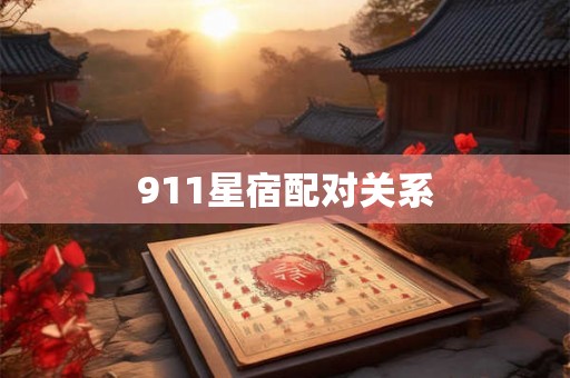 911星宿配对关系