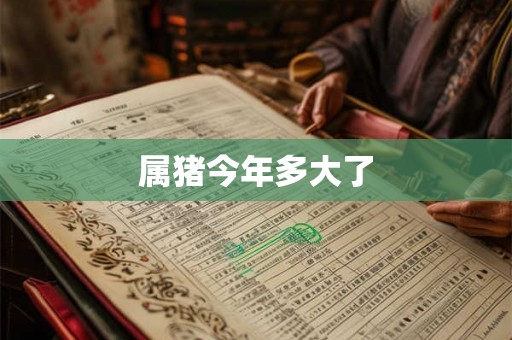 属猪今年多大了