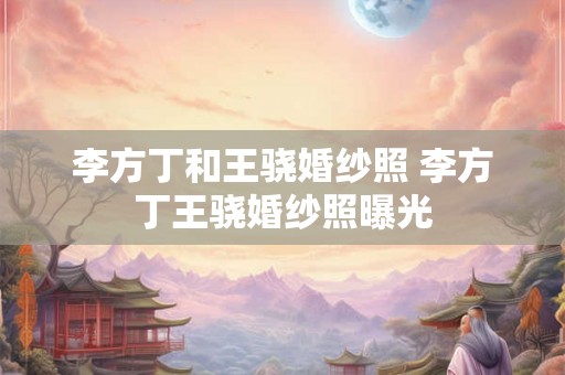 李方丁和王骁婚纱照 李方丁王骁婚纱照曝光