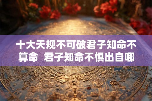 十大天规不可破君子知命不算命  君子知命不惧出自哪里