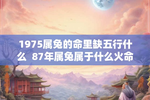 1975属兔的命里缺五行什么  87年属兔属于什么火命