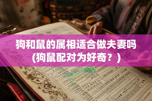 狗和鼠的属相适合做夫妻吗(狗鼠配对为好奇？)