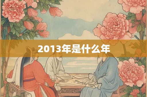 2013年是什么年