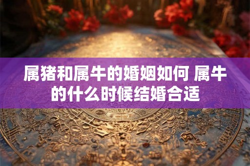 属猪和属牛的婚姻如何 属牛的什么时候结婚合适