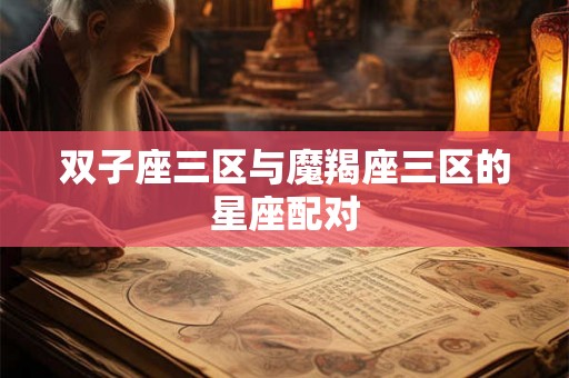 双子座三区与魔羯座三区的星座配对