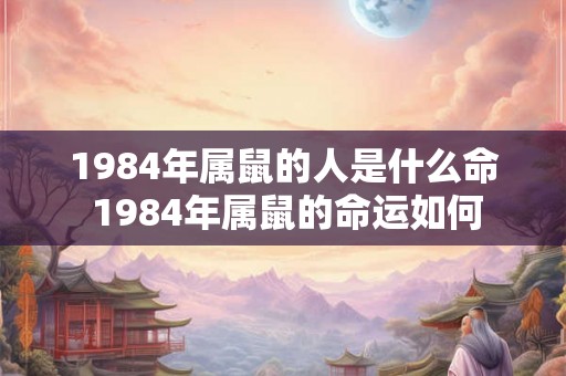 1984年属鼠的人是什么命 1984年属鼠的命运如何