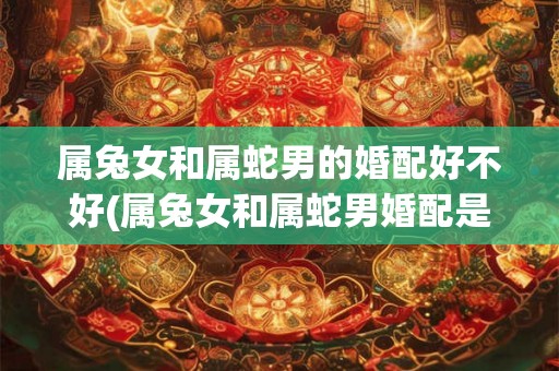 属兔女和属蛇男的婚配好不好(属兔女和属蛇男婚配是否适合?) 属兔女和属蛇男的婚配好不好(属兔女和属蛇男婚配是否适合?)