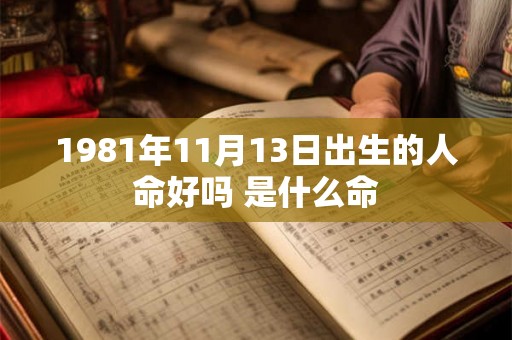 1981年11月13日出生的人命好吗 是什么命