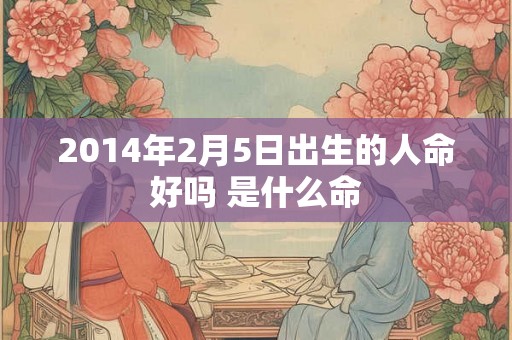2014年2月5日出生的人命好吗 是什么命