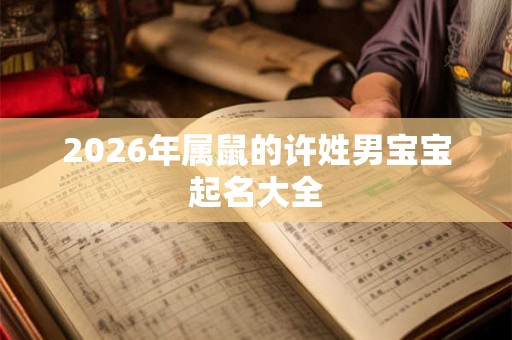2026年属鼠的许姓男宝宝起名大全