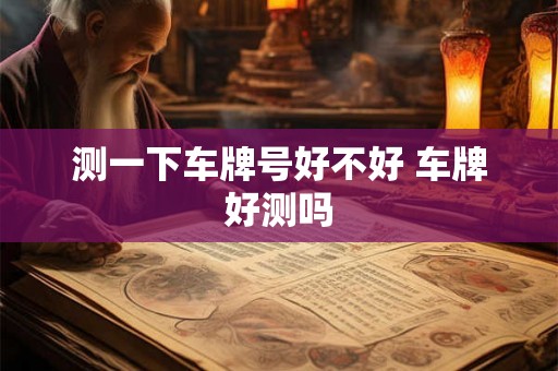 测一下车牌号好不好 车牌好测吗