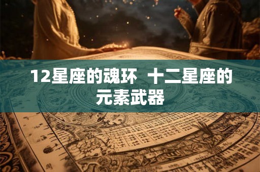 12星座的魂环  十二星座的元素武器