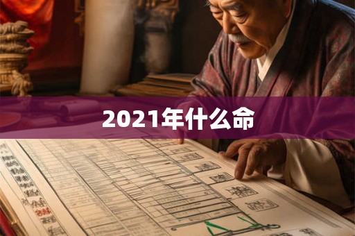 2021年什么命