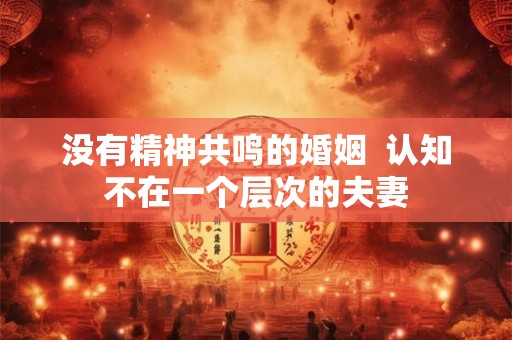 没有精神共鸣的婚姻 认知不在一个层次的夫妻 没有精神共鸣的婚姻 认知不在一个层次的夫妻