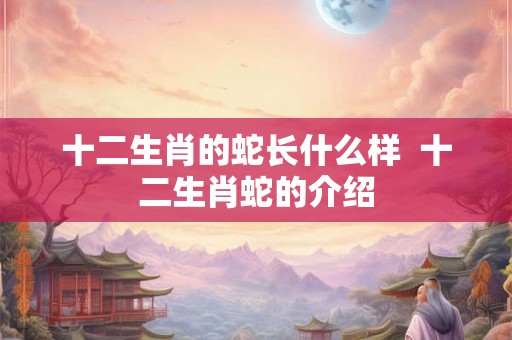 十二生肖的蛇长什么样  十二生肖蛇的介绍
