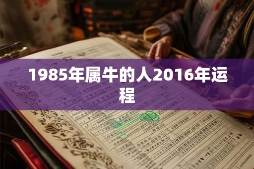 1985年属牛的人2016年运程
