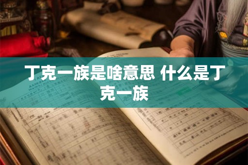 丁克一族是啥意思 什么是丁克一族