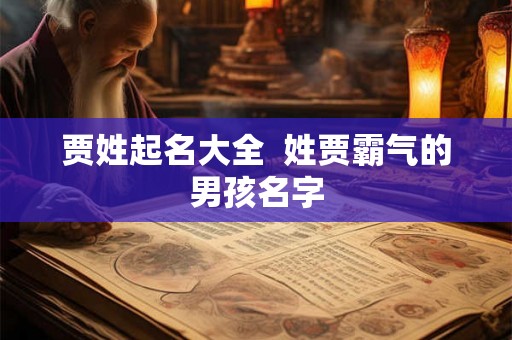 贾姓起名大全 姓贾霸气的男孩名字 贾姓起名大全 姓贾霸气的男孩名字