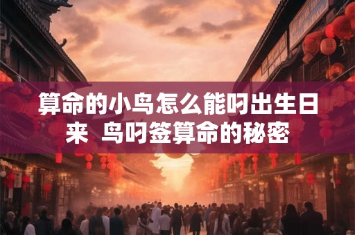 算命的小鸟怎么能叼出生日来  鸟叼签算命的秘密