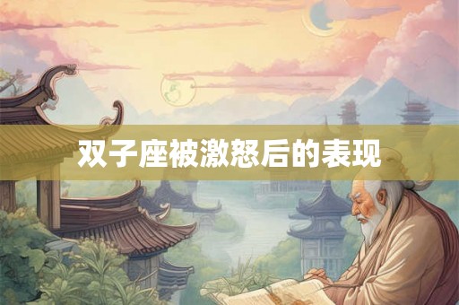 双子座被激怒后的表现