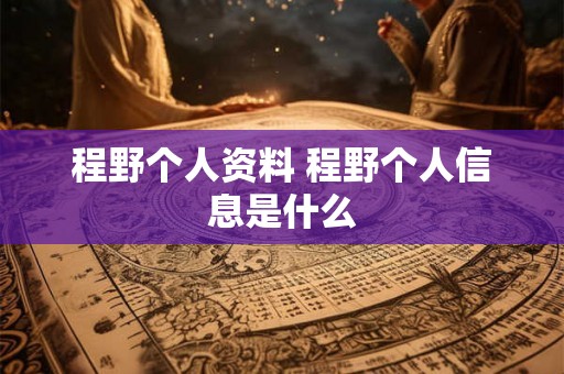 程野个人资料 程野个人信息是什么 程野个人资料 程野个人信息是什么