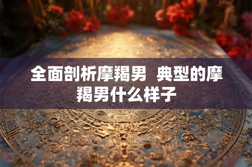 全面剖析摩羯男  典型的摩羯男什么样子
