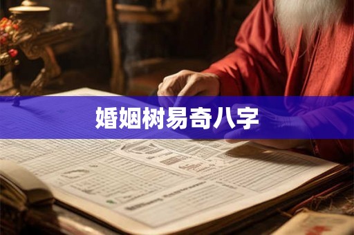 婚姻树易奇八字