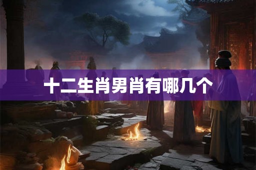 十二生肖男肖有哪几个