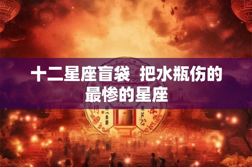 十二星座盲袋  把水瓶伤的最惨的星座