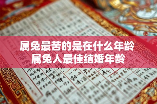 属兔最苦的是在什么年龄 属兔人最佳结婚年龄 属兔最苦的是在什么年龄 属兔人最佳结婚年龄