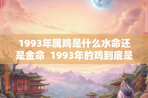 1993年属鸡是什么水命还是金命  1993年的鸡到底是金命还是水命