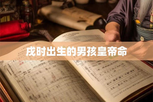 戌时出生的男孩皇帝命