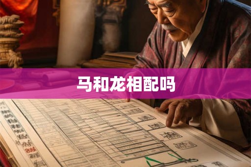 马和龙相配吗