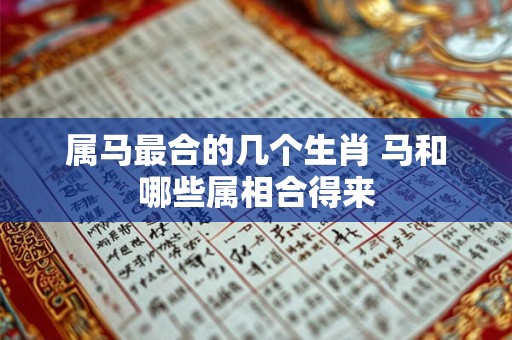 属马最合的几个生肖 马和哪些属相合得来