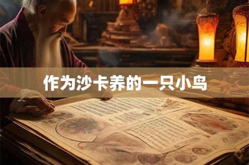 作为沙卡养的一只小鸟 作为沙卡养的一只小鸟