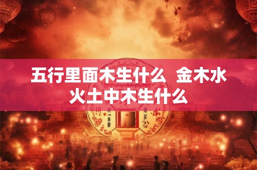 五行里面木生什么  金木水火土中木生什么