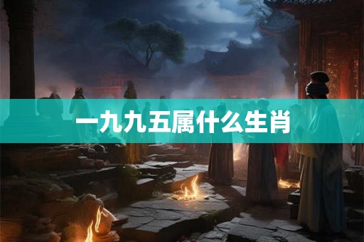 一九九五属什么生肖