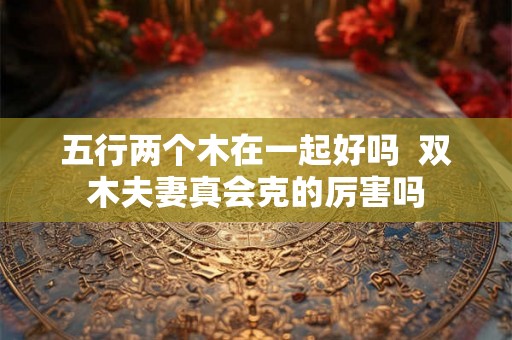 五行两个木在一起好吗 双木夫妻真会克的厉害吗 五行两个木在一起好吗 双木夫妻真会克的厉害吗