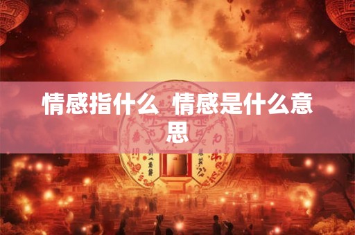 情感指什么  情感是什么意思