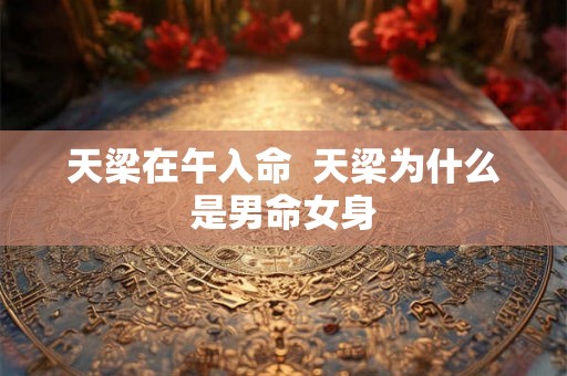 天梁在午入命  天梁为什么是男命女身