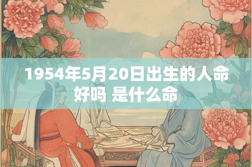 1954年5月20日出生的人命好吗 是什么命